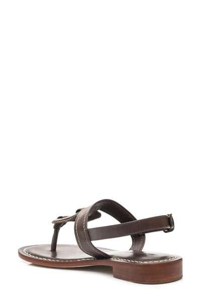 Shop Gucci Tegan Sandal In Chocolate Leather