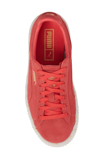 Shop Puma Suede Platform Sneaker In Paradise Pink/ Team Gold