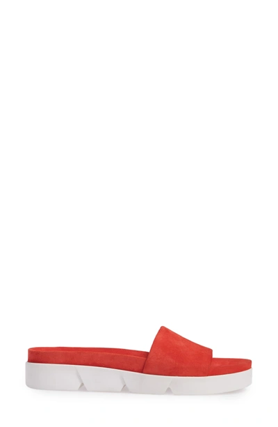 Shop Stuart Weitzman Landslide Sandal In Pimento Suede