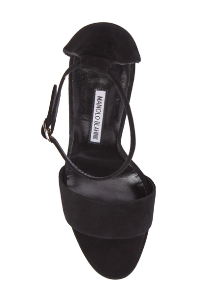 Shop Manolo Blahnik Tres Ankle Strap Sandal In Black