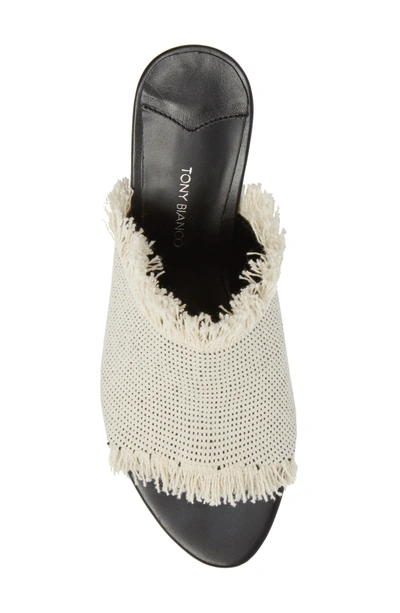 Shop Tony Bianco Woven Mule In White/ Black Osaka Fabric