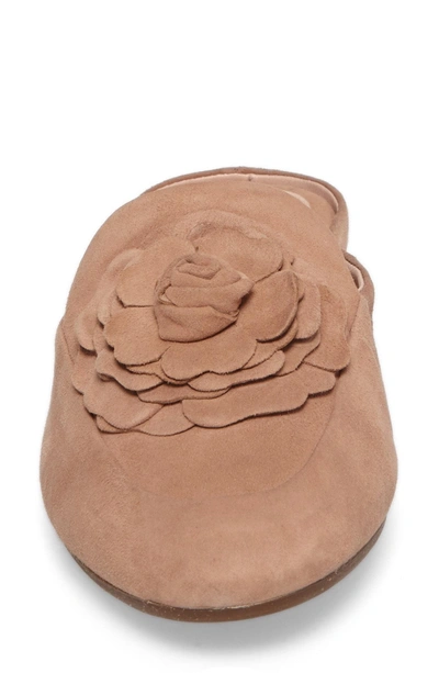 Shop Taryn Rose Dimensional Flower Mule In Soft Beige Suede