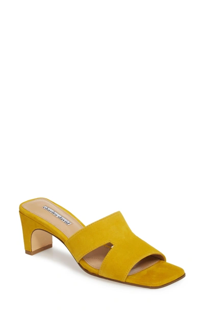 Shop Charles David Harley Slide Sandal In Bright Yellow Suede