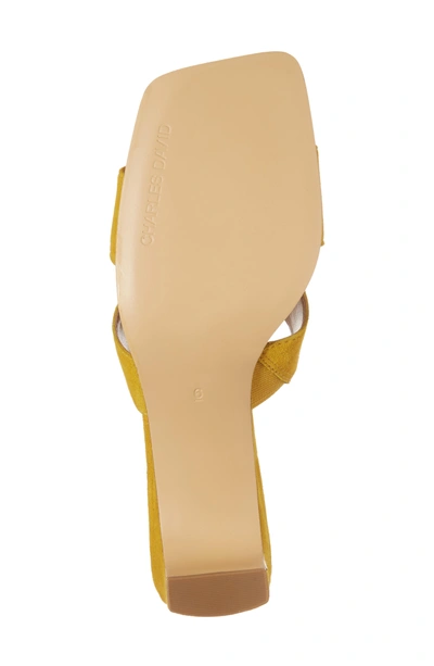 Shop Charles David Harley Slide Sandal In Bright Yellow Suede