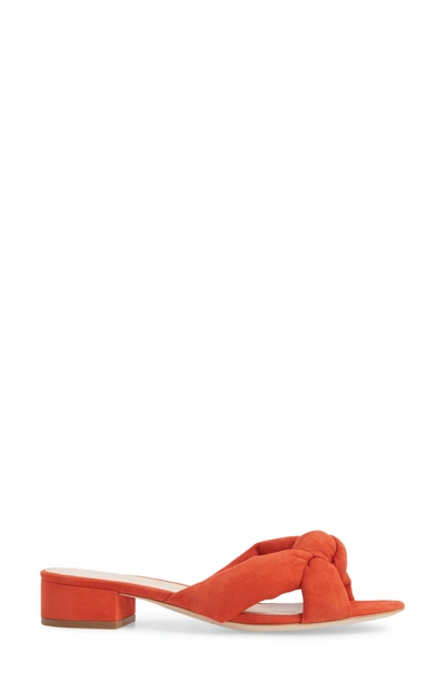 Shop Loeffler Randall Elsie Knotted Slide Sandal In Persimmon