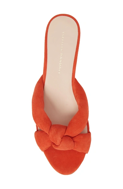 Shop Loeffler Randall Elsie Knotted Slide Sandal In Persimmon