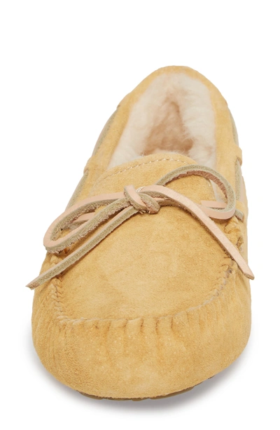 Shop Ugg Dakota Slipper In Sunflower