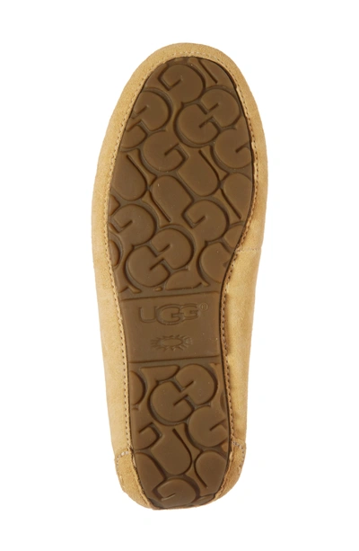 Shop Ugg Dakota Slipper In Sunflower