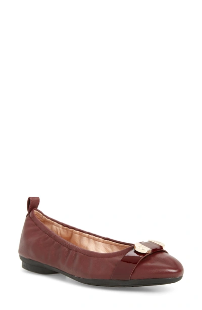 Shop Taryn Rose Abriana Ballet Flat In Wine Leather