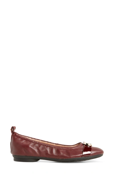 Shop Taryn Rose Abriana Ballet Flat In Wine Leather