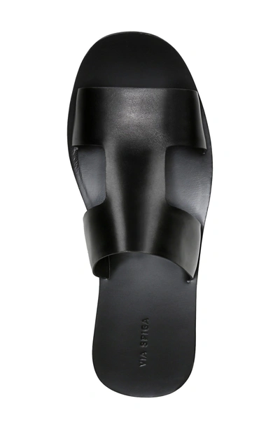 Shop Via Spiga Blanka Sandal In Black Leather