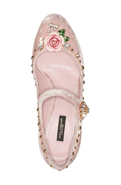 Shop Dolce & Gabbana Rose Mary Jane Pump In Pink