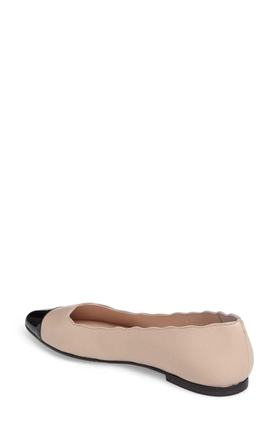 Shop Patricia Green Suzanne Scalloped Cap Toe Flat In Sand Leather