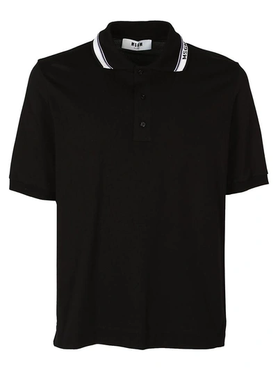 Shop Msgm Polo Shirt In Black