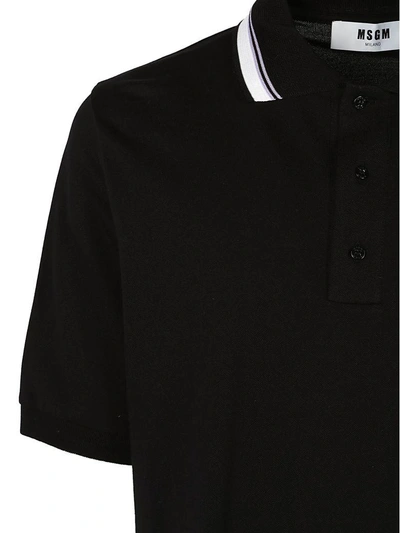 Shop Msgm Polo Shirt In Black