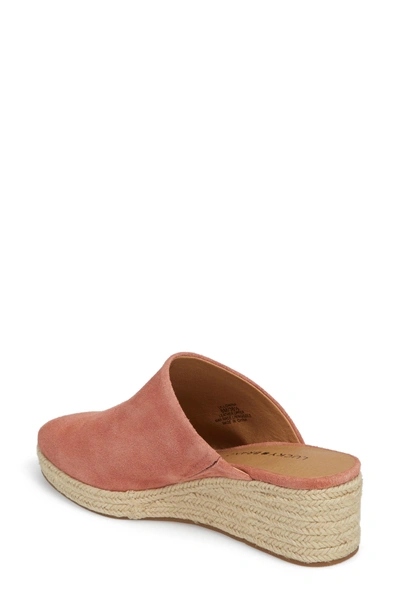 Shop Lucky Brand Lidwina Espadrille Mule In Canyon Rose Suede