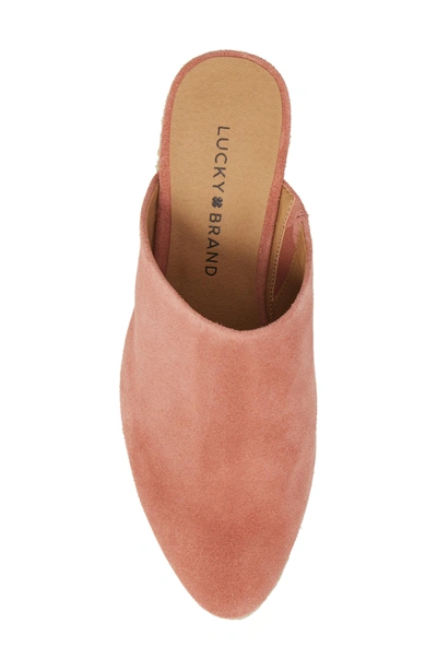 Shop Lucky Brand Lidwina Espadrille Mule In Canyon Rose Suede