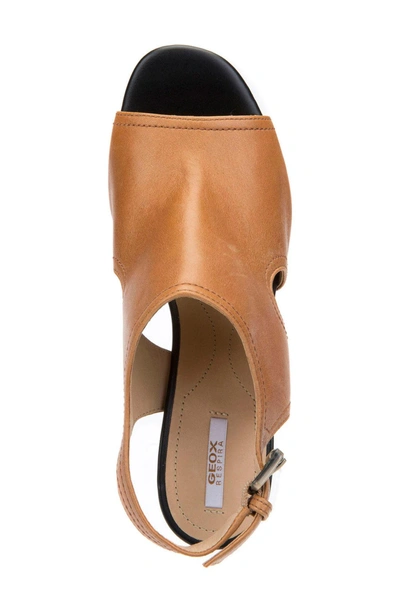 Shop Geox Audalies 5 Sandal In Caramel Leather