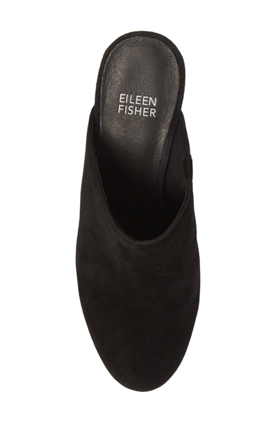 Shop Eileen Fisher Prana Mule In Black Suede
