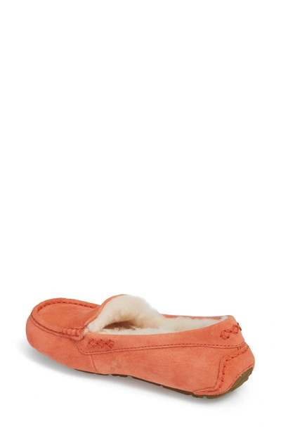 Shop Ugg Ansley Water Resistant Slipper In Vibrant Coral Suede