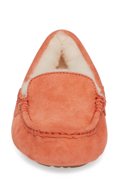 Shop Ugg Ansley Water Resistant Slipper In Vibrant Coral Suede