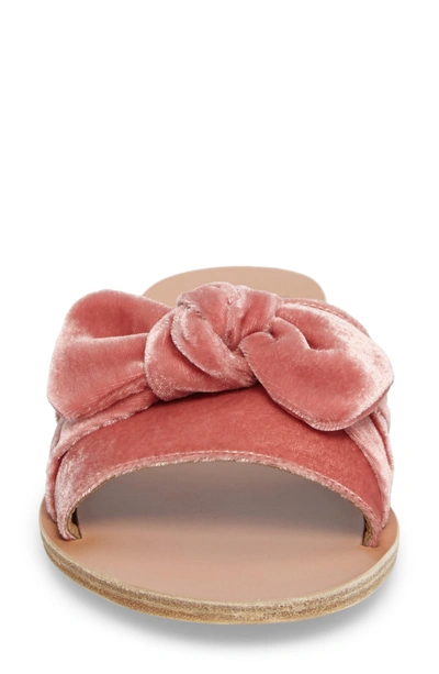 Shop Ancient Greek Sandals Taygete Bow Slide Sandal In Dusty Pink