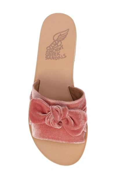 Shop Ancient Greek Sandals Taygete Bow Slide Sandal In Dusty Pink