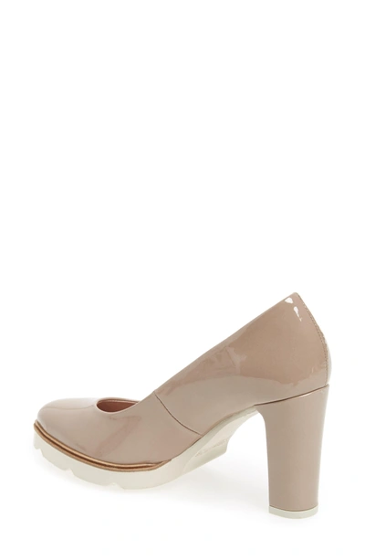 Shop Wonders Almond Toe Pump In Taupe Leather