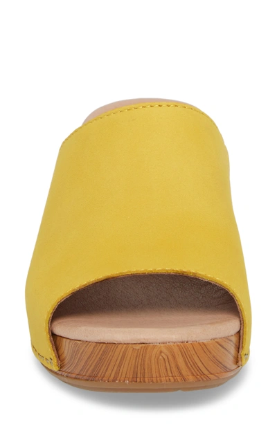 Dansko Maci Mule Sandal In Yellow Milled Nubuck Leather ModeSens