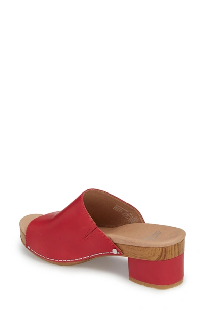 maci mule sandal dansko