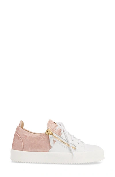 Shop Giuseppe Zanotti Mid Top Platform Sneaker In Pink Velvet