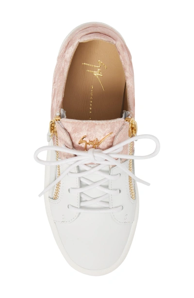 Shop Giuseppe Zanotti Mid Top Platform Sneaker In Pink Velvet