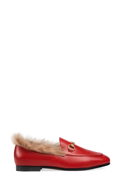 Shop Gucci Jordaan Genuine Shearling Lining Loafer In Hibiscus Red