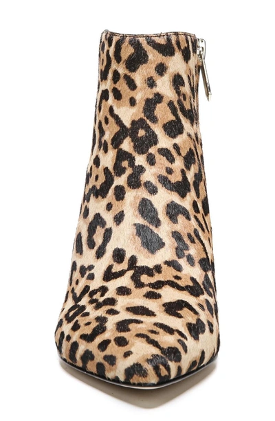Shop Sam Edelman Kinzey Pointy Toe Bootie In Cheetah Print Calfhair