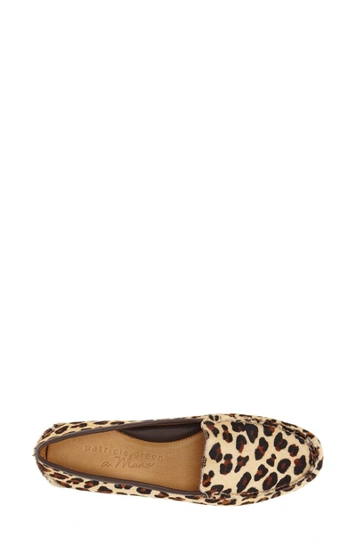 Shop Patricia Green 'jillian' Loafer In Leopard Haircalf