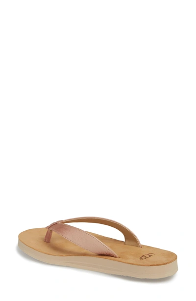 Shop Ugg Tawney Flip Flop In Rose Gold Leather