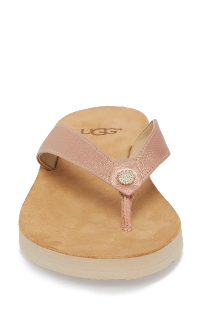 Shop Ugg Tawney Flip Flop In Rose Gold Leather