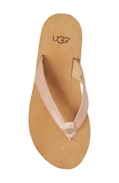 Shop Ugg Tawney Flip Flop In Rose Gold Leather