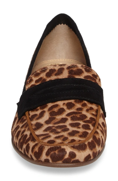 Shop Vince Camuto Elroy 2 Genuine Calf Hair Penny Loafer In Brown Print Suede