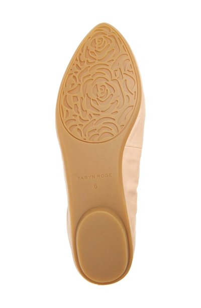 Shop Taryn Rose Edina Ballet Flat In Nude Leather