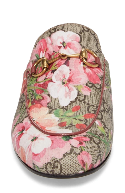 Shop Gucci Princetown Loafer Mule In Beige/ Floral Print