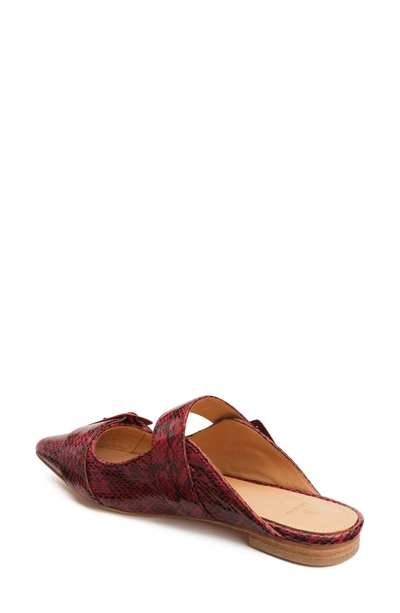 Shop Bill Blass Sylie Pointy Toe Mule In Snake