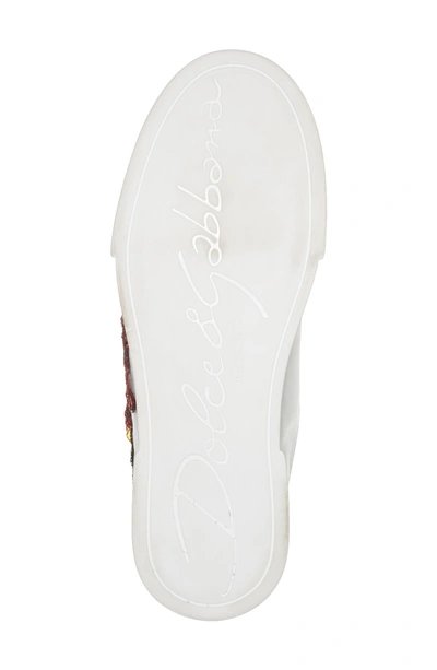 Shop Dolce & Gabbana Lipstick Sneaker In White/ Pink