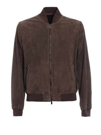 Shop Tod's Classic Bomber In Africa Brown