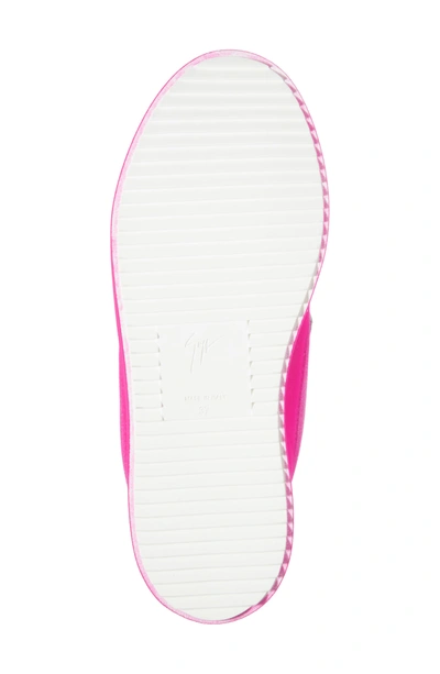 Shop Giuseppe Zanotti May London Low Top Sneaker In White/ Pink