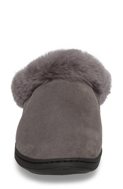 Shop Acorn 'ewe Collar' Genuine Sheepskin Mule Slipper In Ash