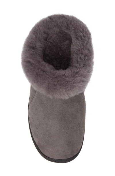 Shop Acorn 'ewe Collar' Genuine Sheepskin Mule Slipper In Ash