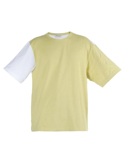 Shop Marni Cotton T-shirt In 961x Yellow-white