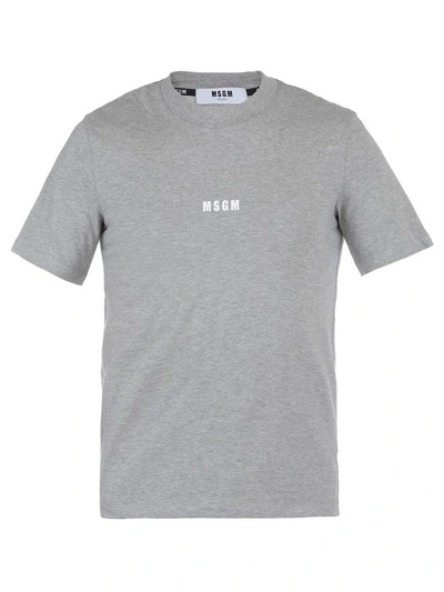 Shop Msgm Cotton T-shirt In Grey