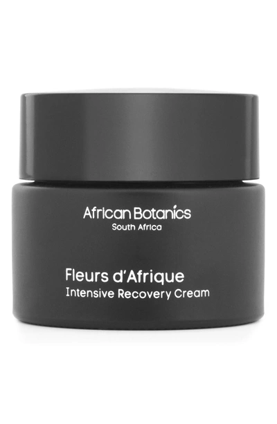 Shop African Botanics Fleurs D'afrique Intensive Recovery Cream